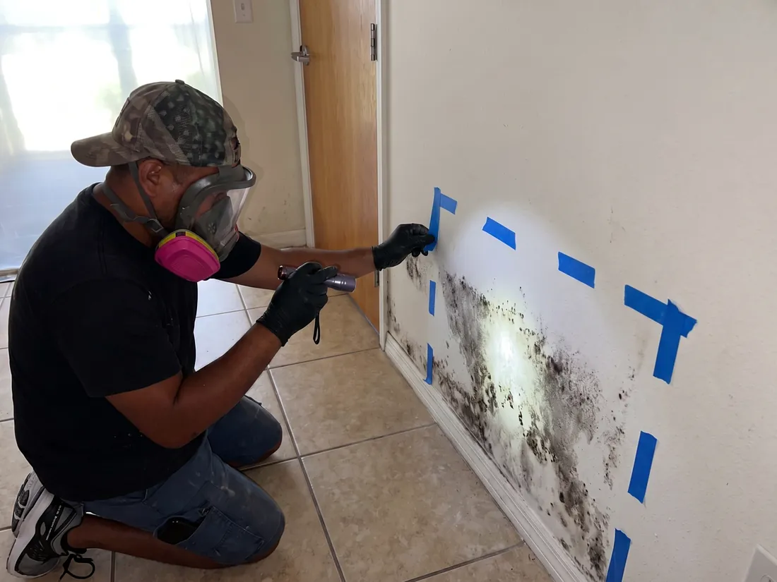 Technician in a respirator shining a flashlight on mold along a hallway baseboard, with the damaged area marked off in blue tape