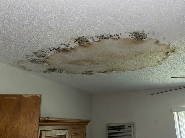 Water stain with mold spots spreading across a textured ceiling