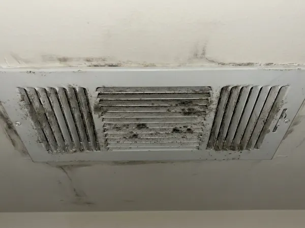 Ceiling air vent with dust and mold on its louvers