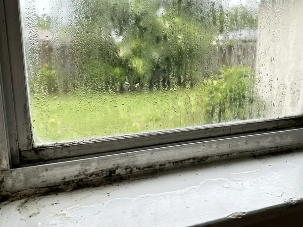 Condensation on the inside of a window, with mildew along the frame and sill